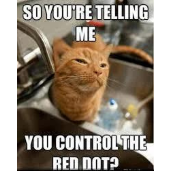 15+ Funny Cat Memes To Play With (+ Ember Tax, O…