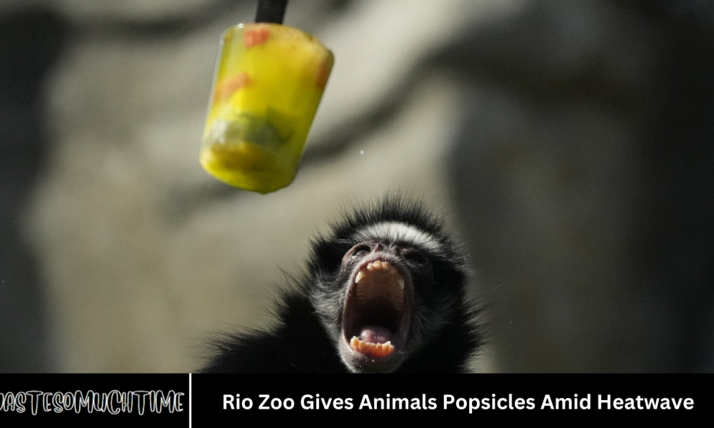 Rio Zoo Gives Animals Popsicles Amid Heatwave