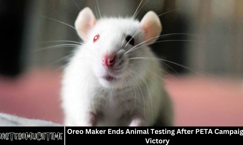Oreo Maker Ends Animal Testing After PETA Campaign Victory