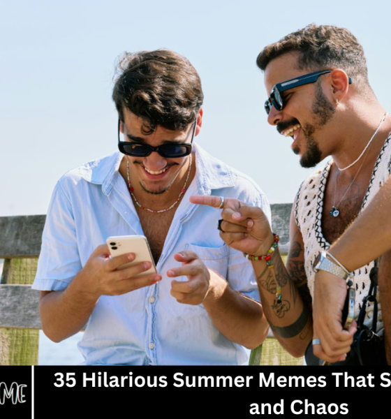 35 Hilarious Summer Memes That Scream Sunshine and Chaos