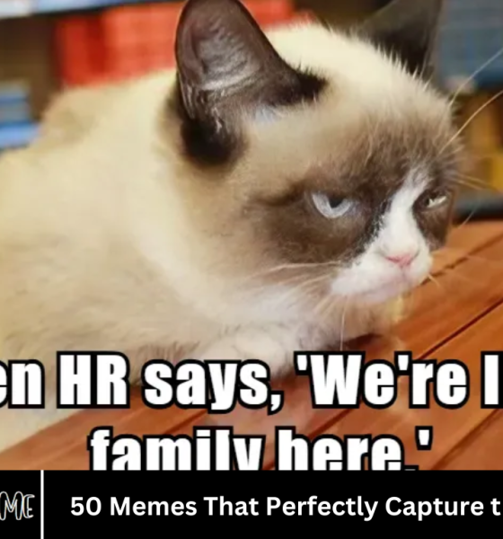 50 Memes That Perfectly Capture the Chaos of HR